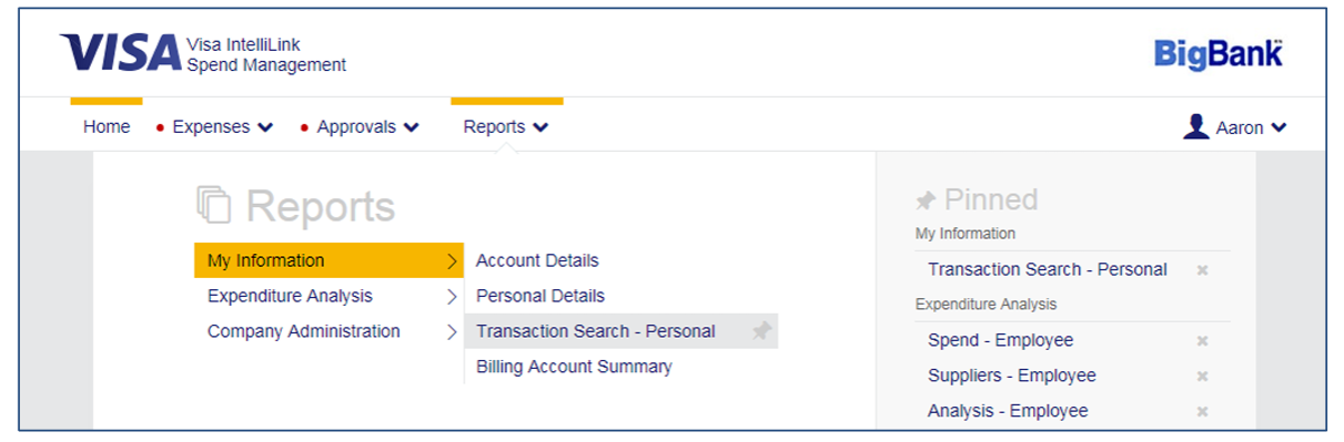 screenshot of Visa IntelliLink